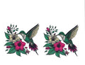 #1417 ANIMALS - HUMMINGBIRD