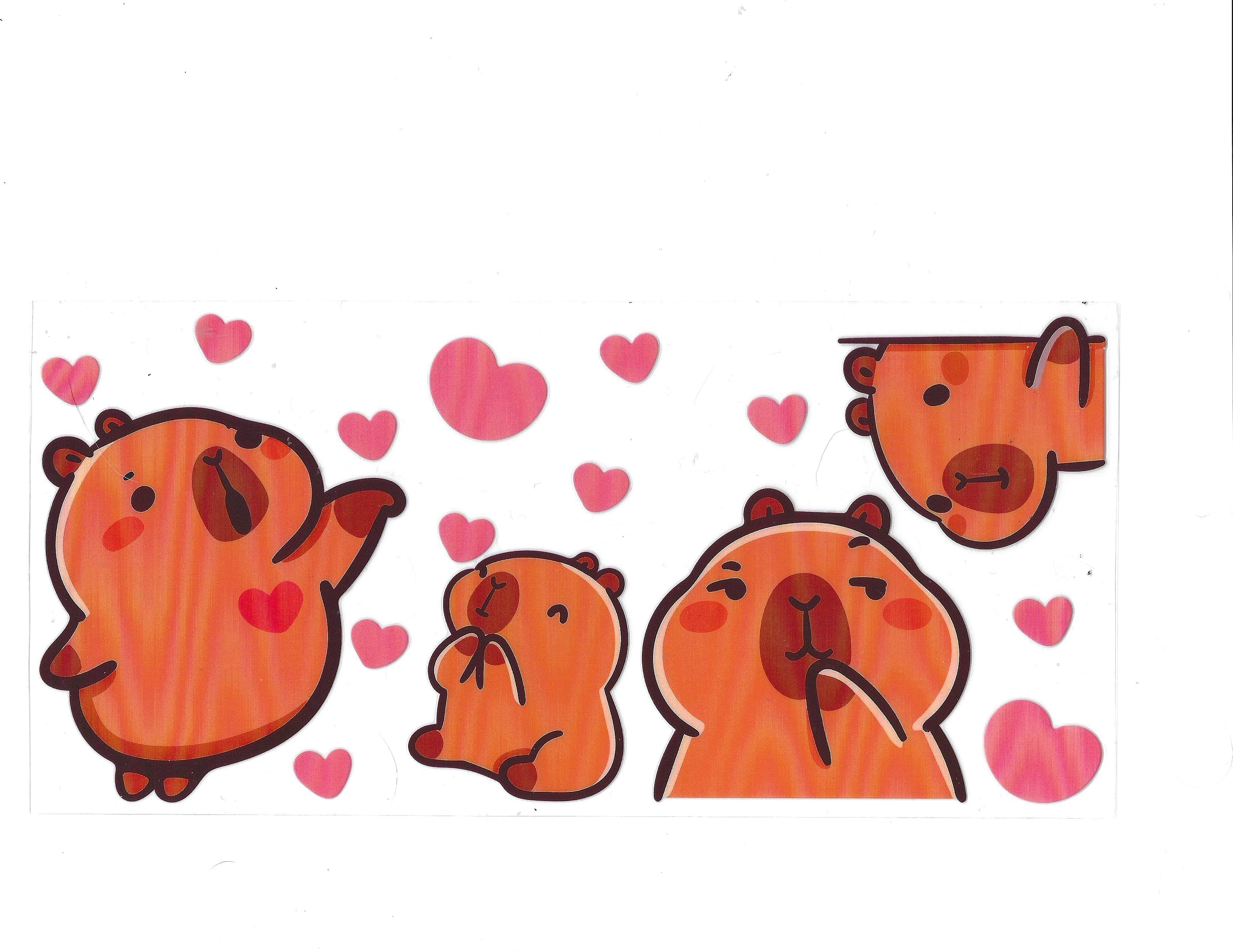 #1441 ANIMALS - CAPPYBARA