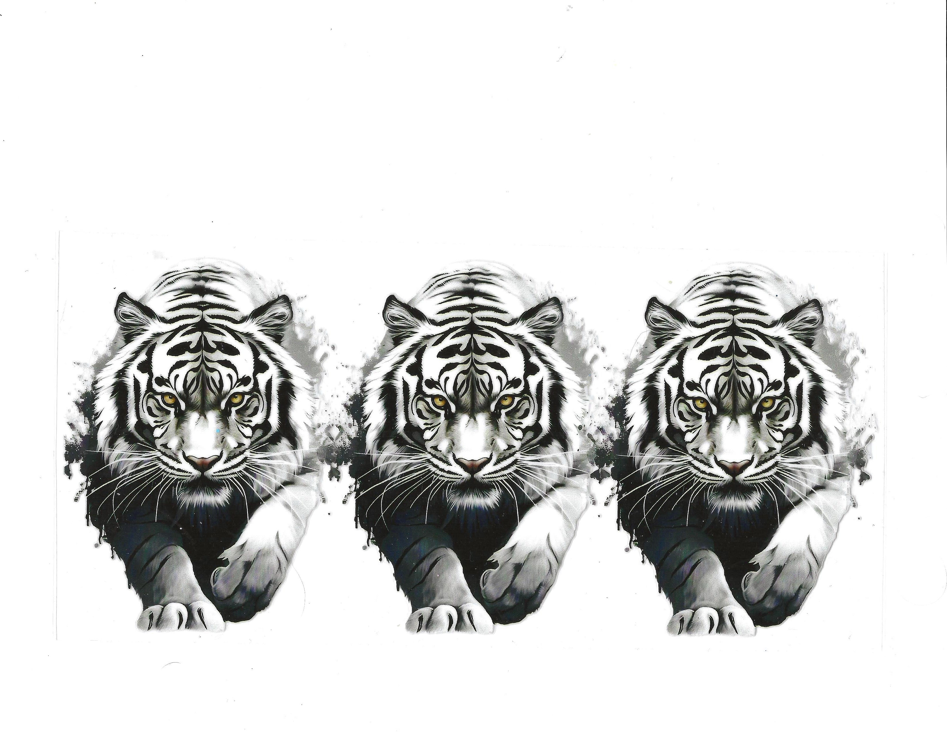 #1443 ANIMALS - TIGER