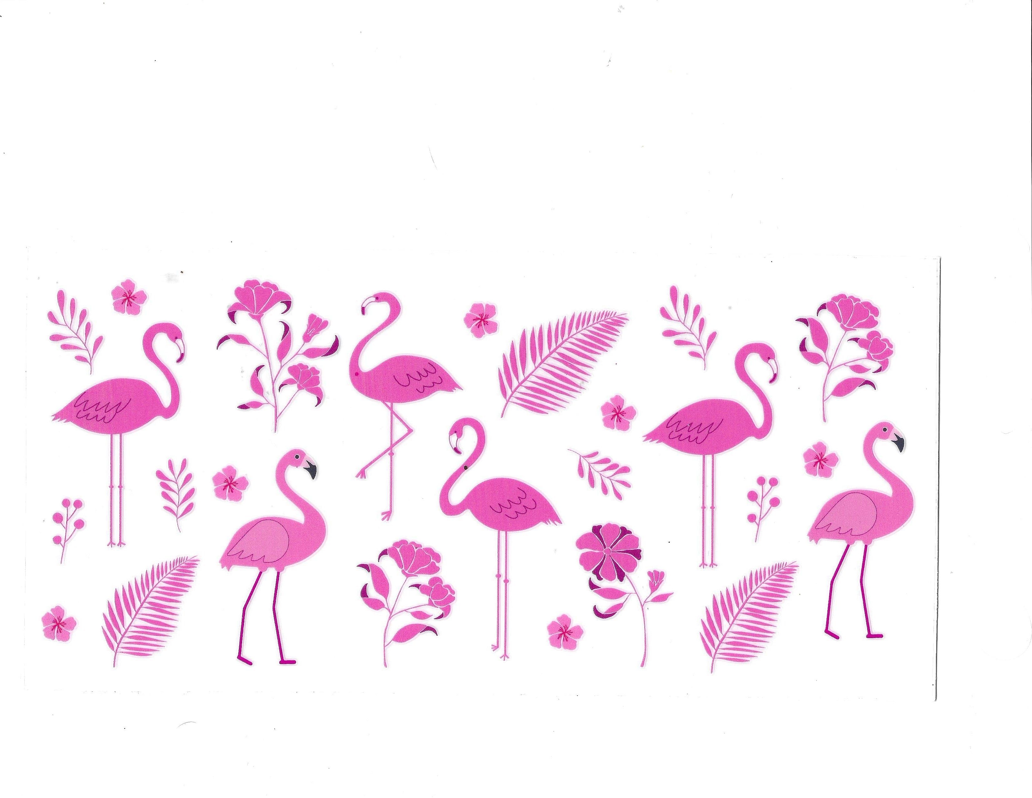 #1452 ANIMALS - FLAMINGO