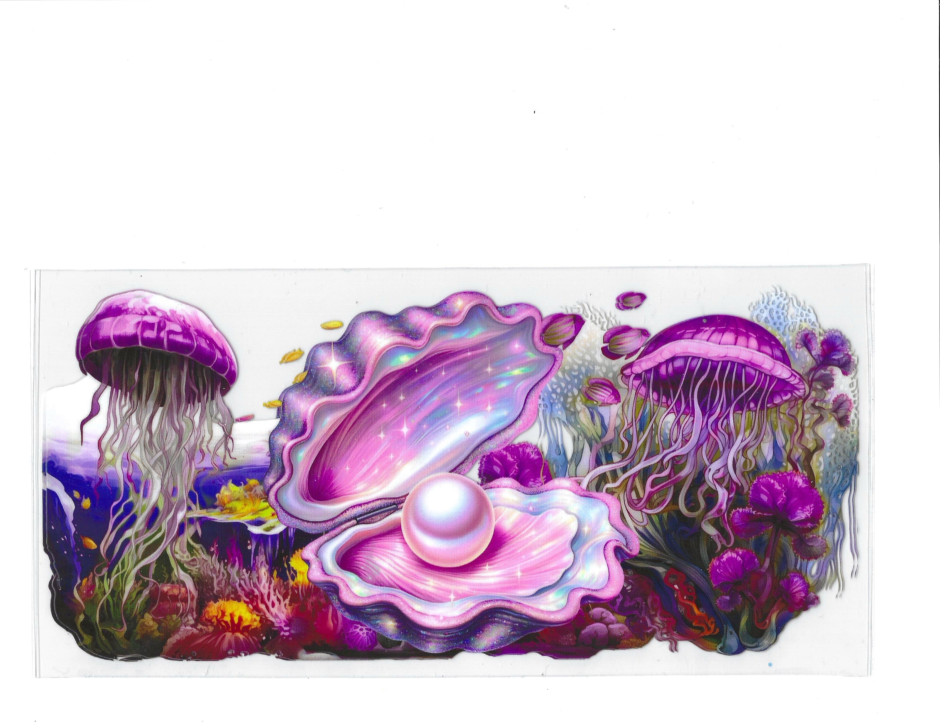#1886 - ANIMALS - CLAM