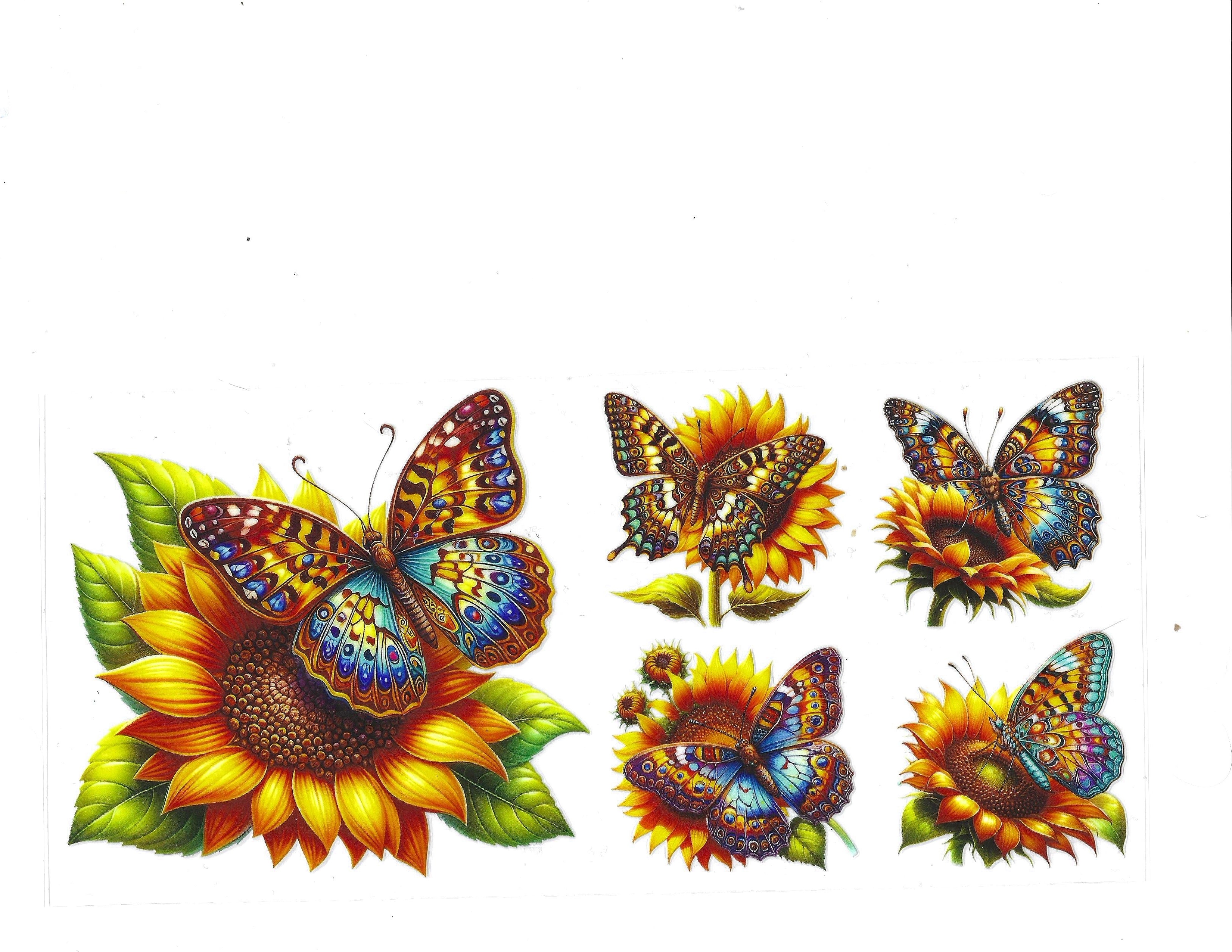 #1229 BUTTERFLIES/FLOWERS