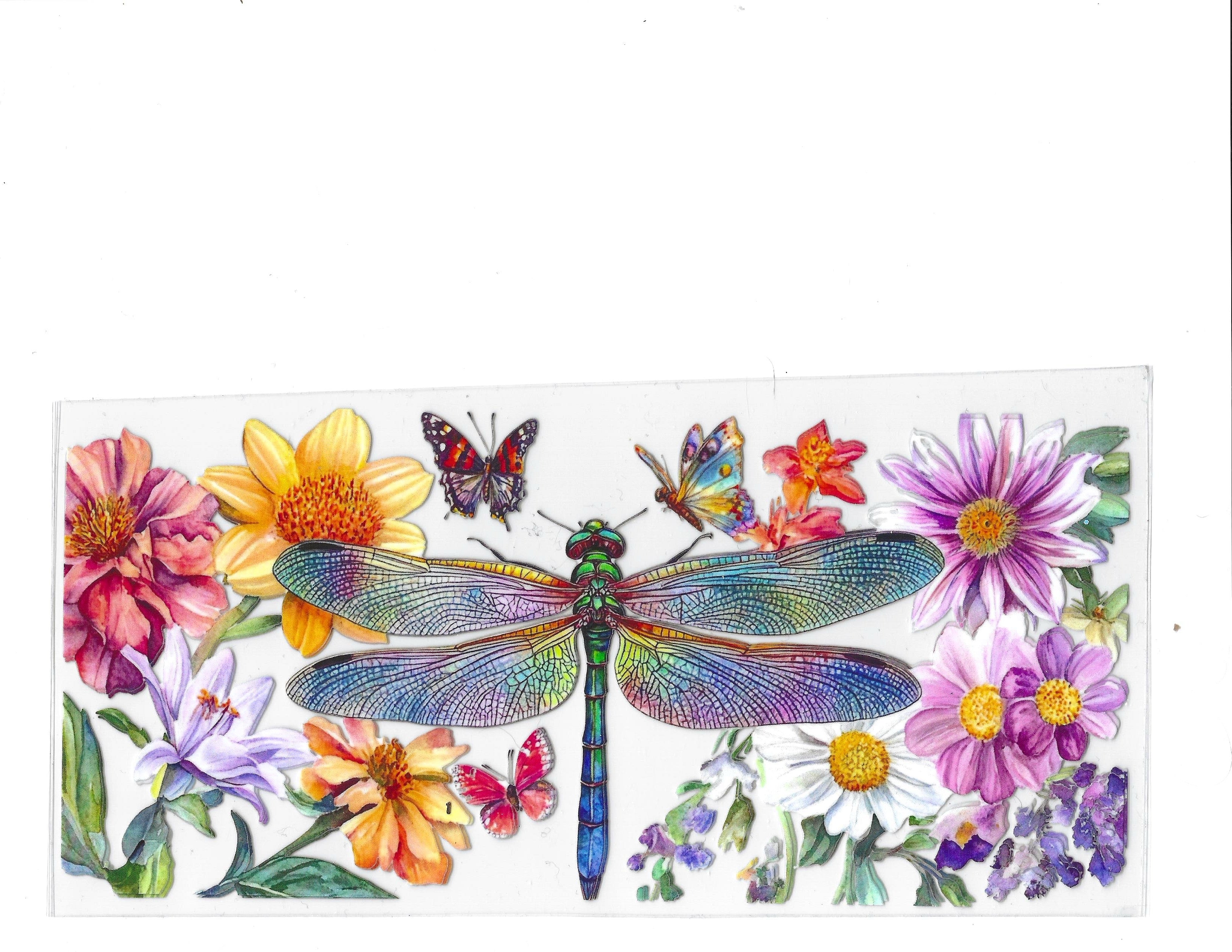 #1238 BUTTERFLIES/FLOWERS
