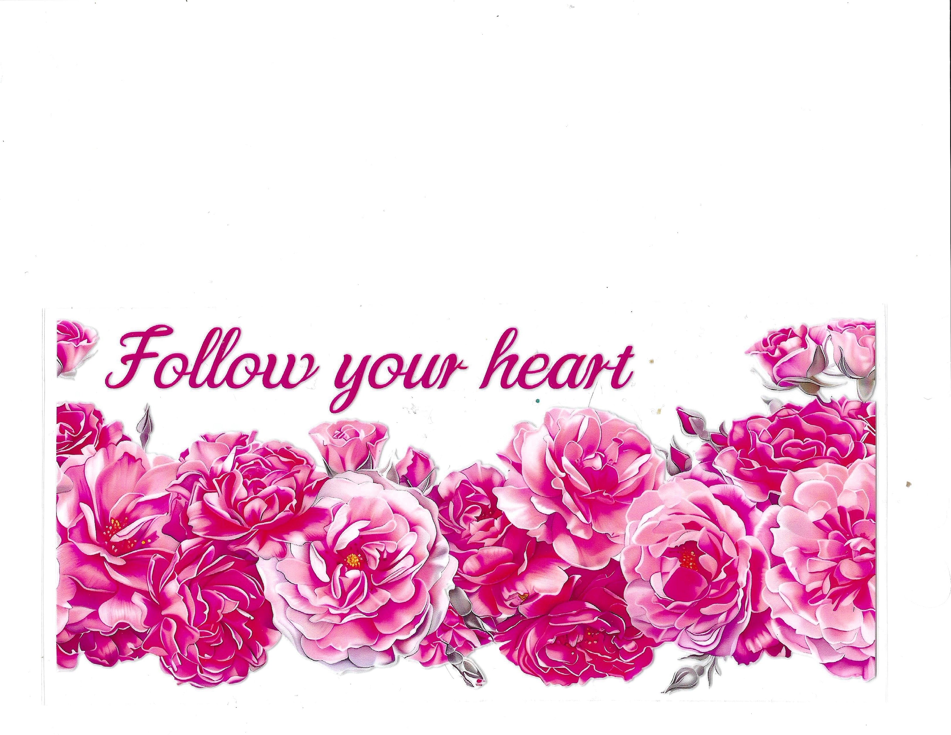 #1244 BUTTERFLIES/FLOWERS