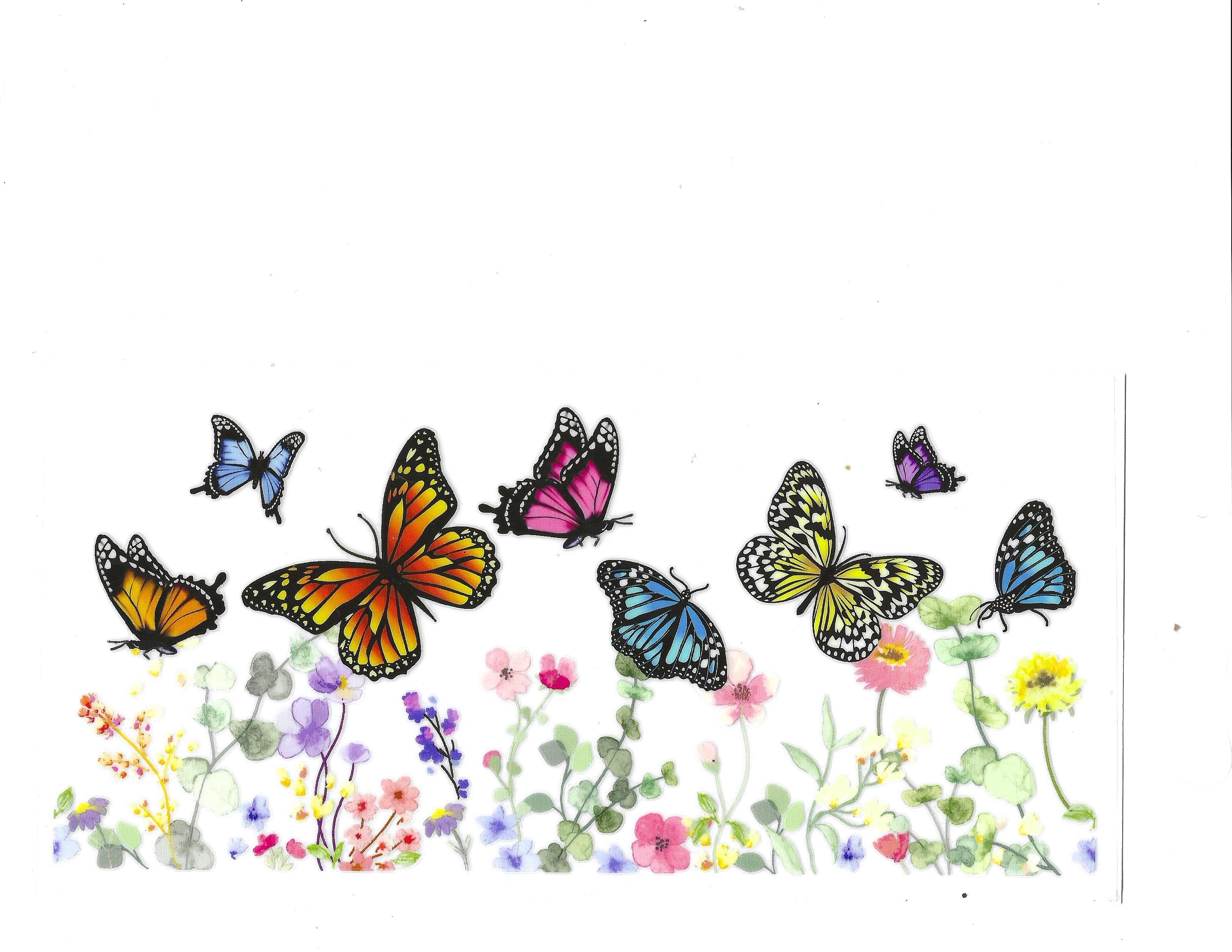 #1248 BUTTERFLIES/FLOWERS