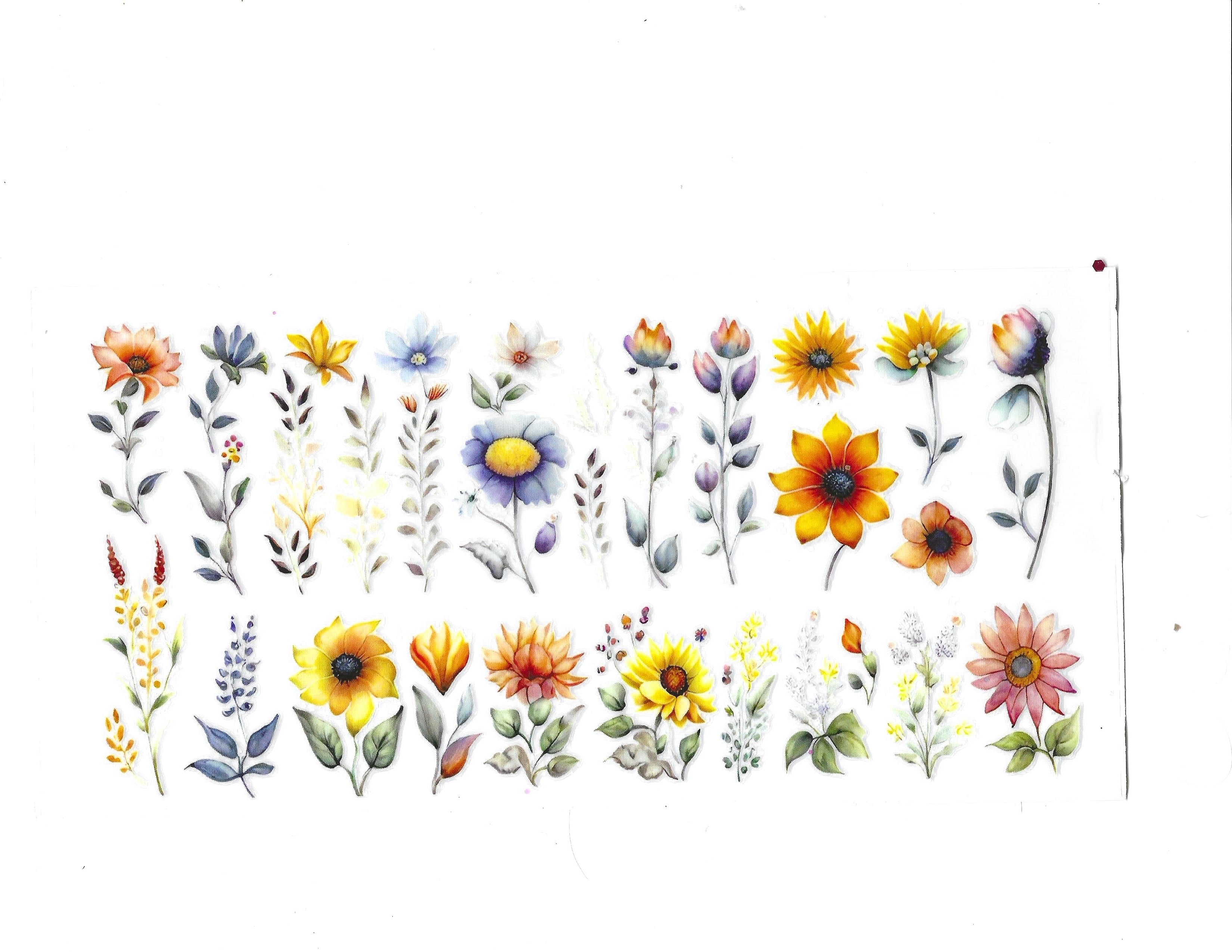 #1249 BUTTERFLIES/FLOWERS