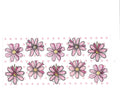 #1265 BUTTERFLIES/FLOWERS