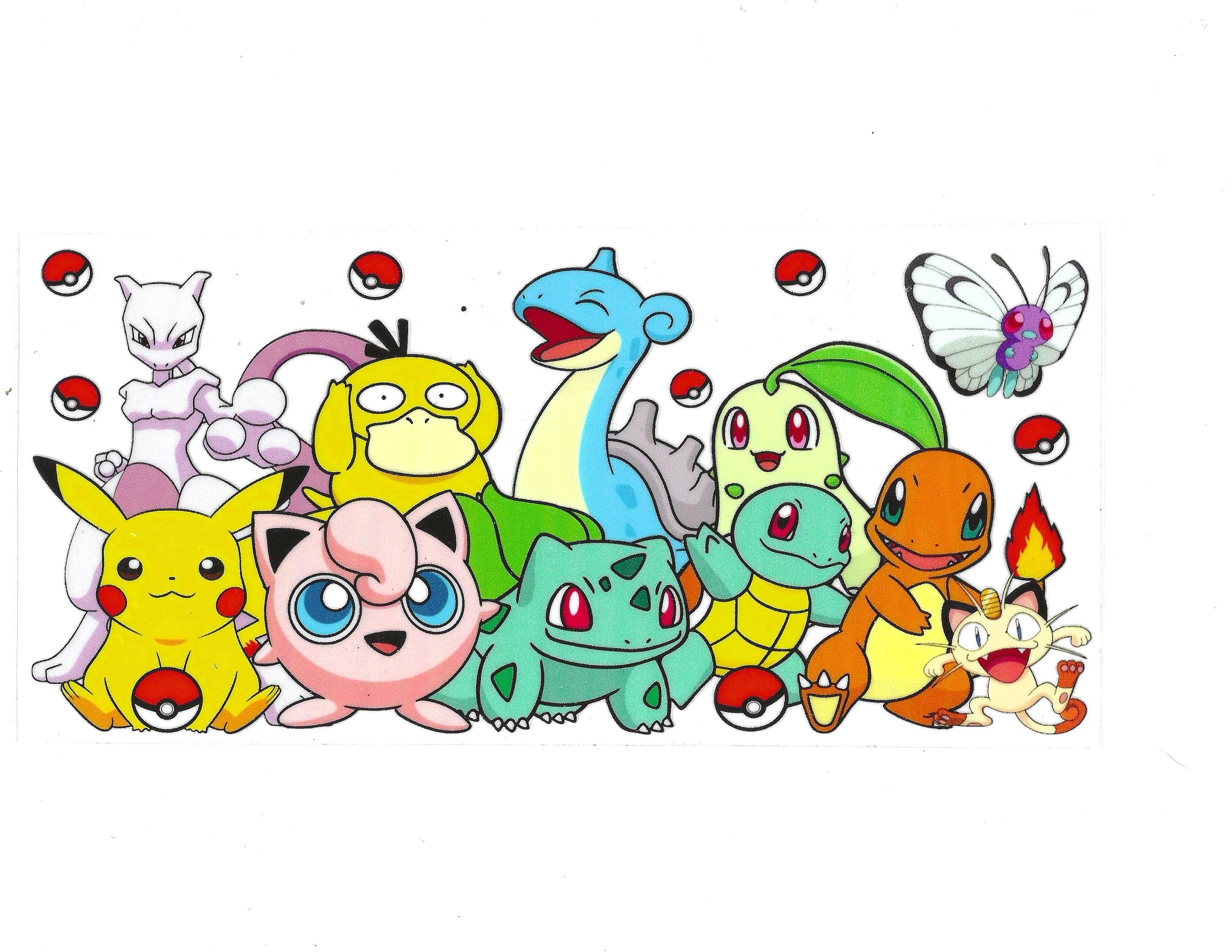 #2447 - POKEMON