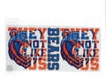 #733 NFL - BEARS