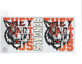 #735 NFL - BENGALS