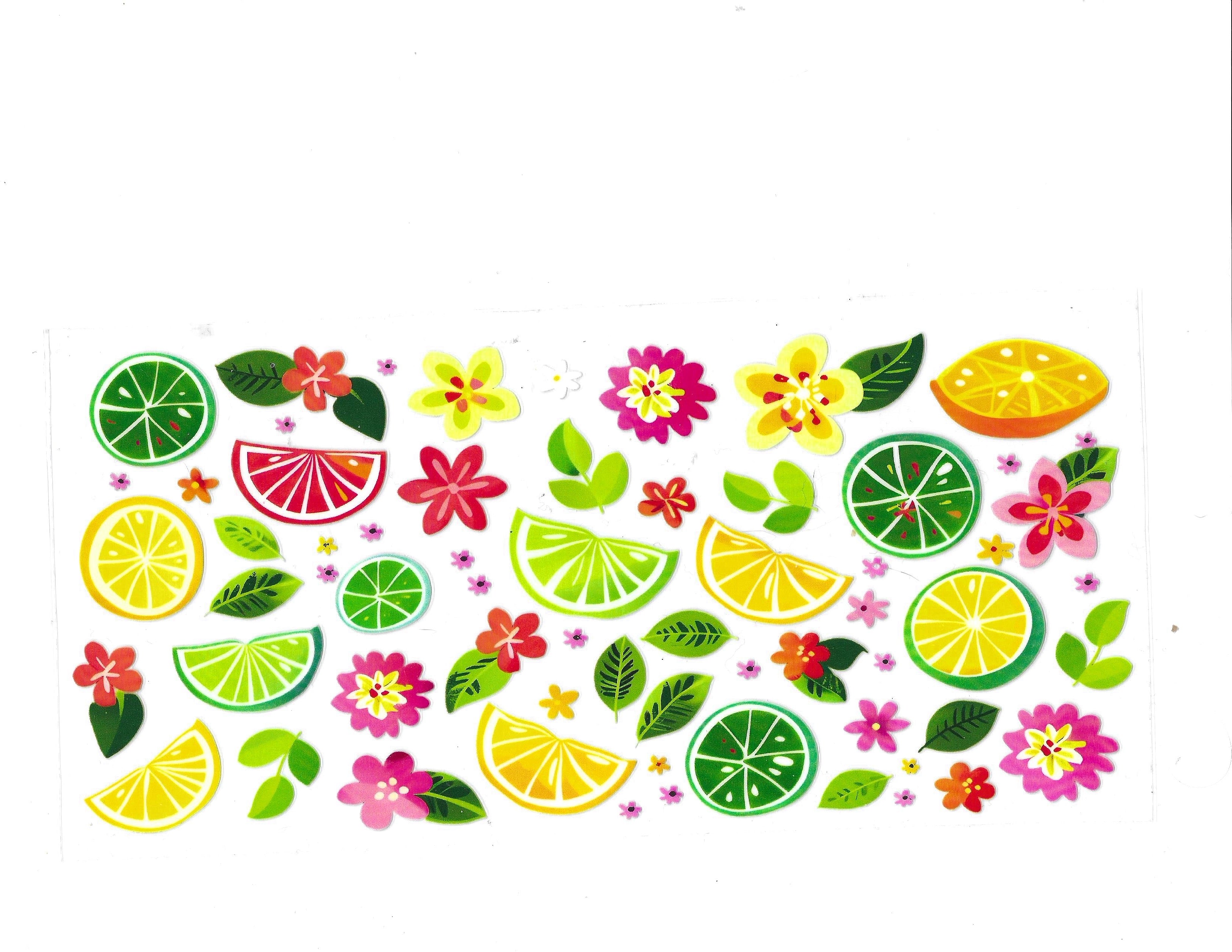 #1397 FOOD/DRINK - LEMON