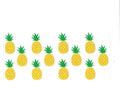 #1358 FOOD/DRINK - PINEAPPLE