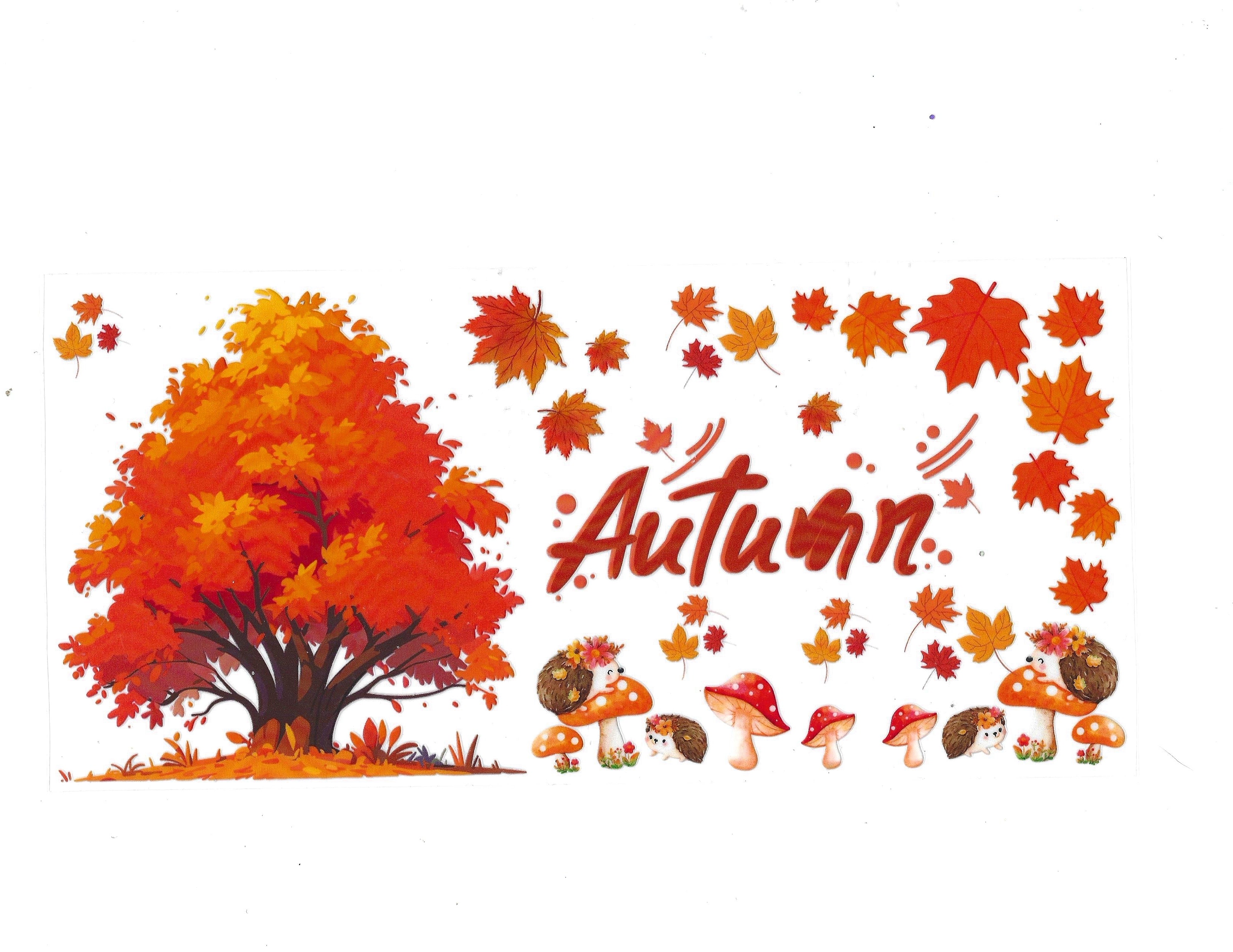 #2478 - AUTUMN/FALL