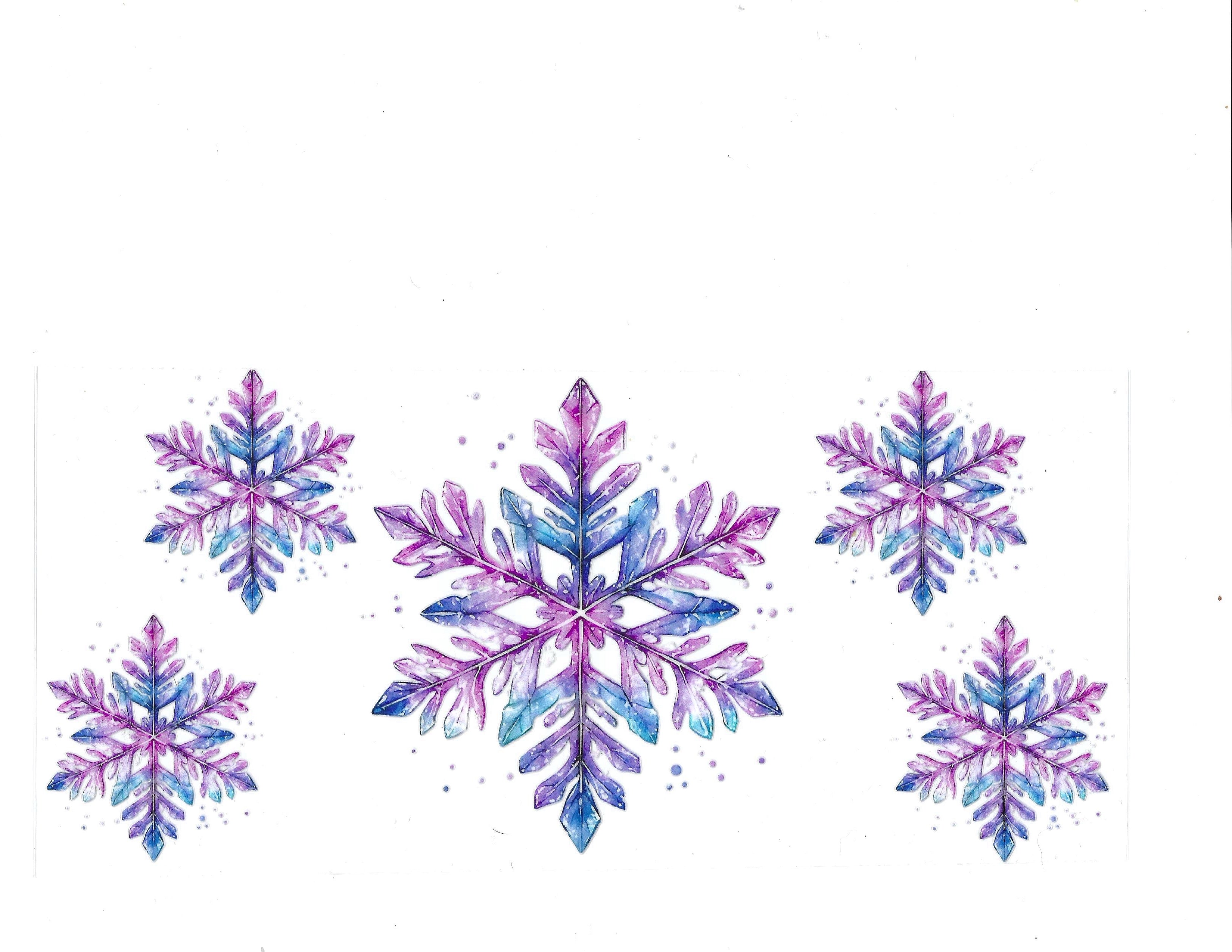#1076 SNOWFLAKE