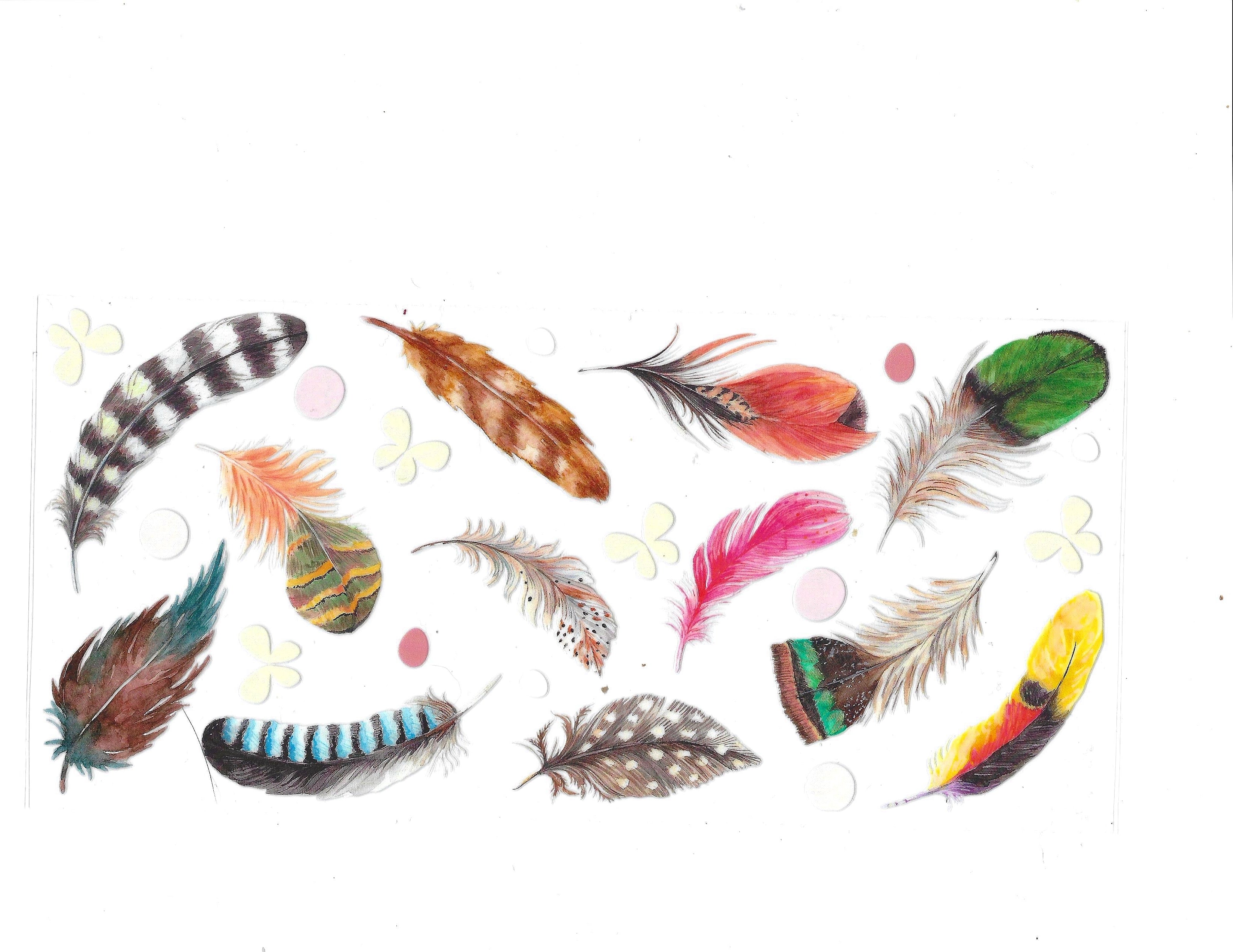 #1078 FEATHERS