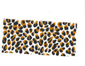 #1135 ANIMAL PRINT