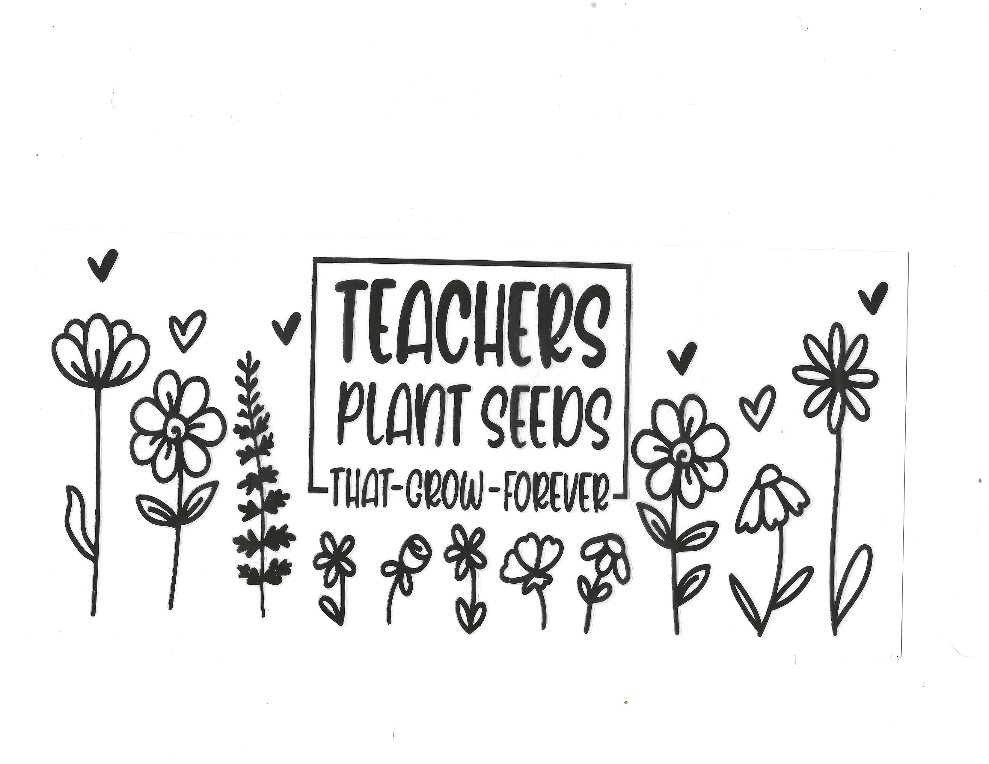 #222 teacher