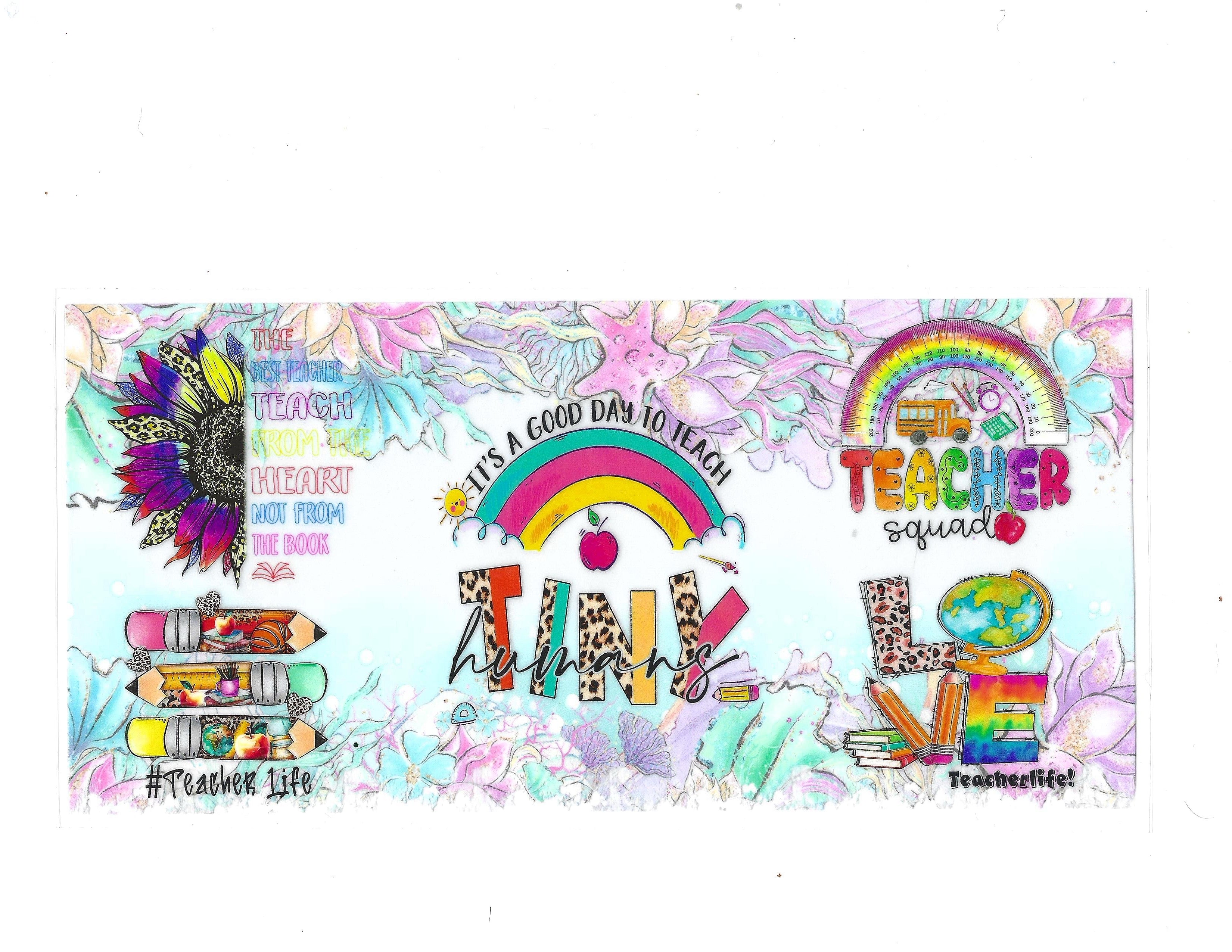#213 teacher