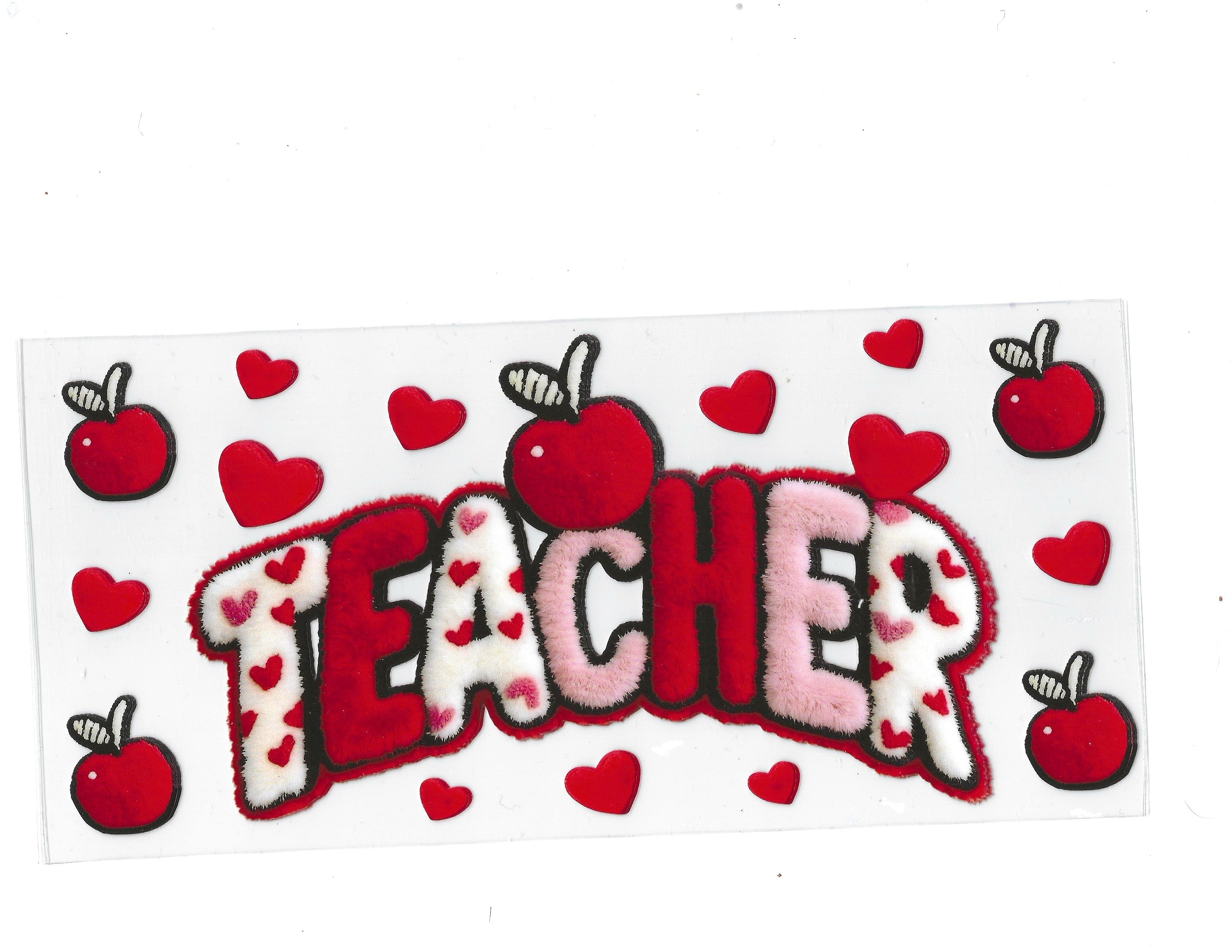 #216 teacher